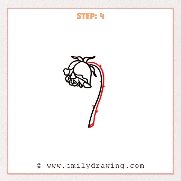 how to draw a dead rose - Step 4 of how to draw a dead rose adds a second line to thicken the drooping stem, plus small thorns and a cut end.